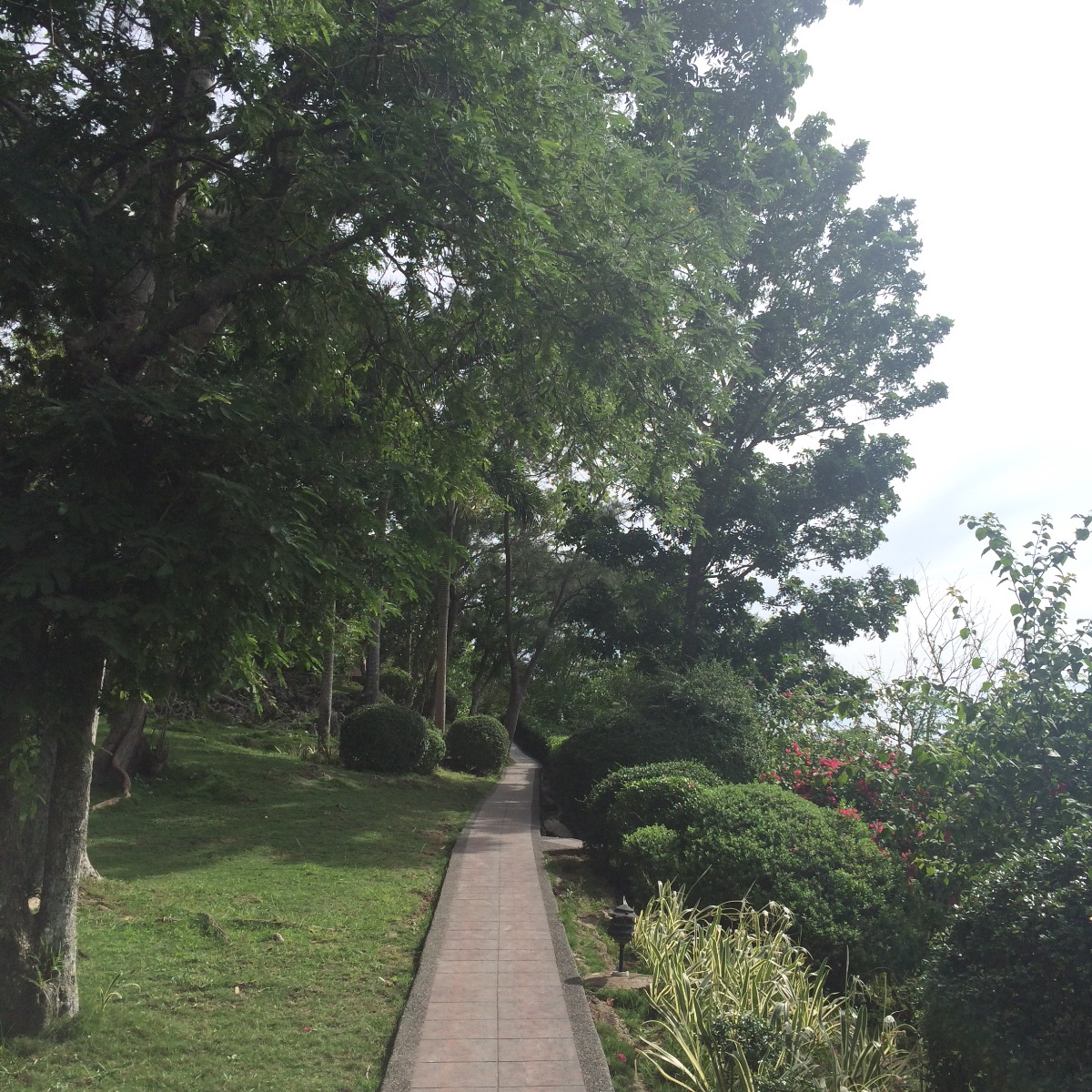 Nature at its peace
