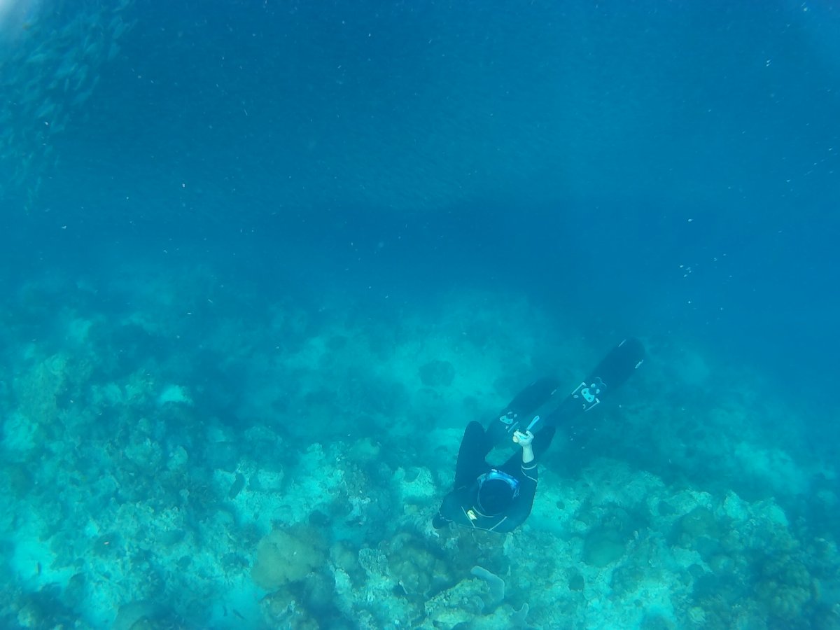 Ocean deep