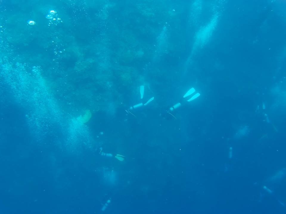 Scuba divers