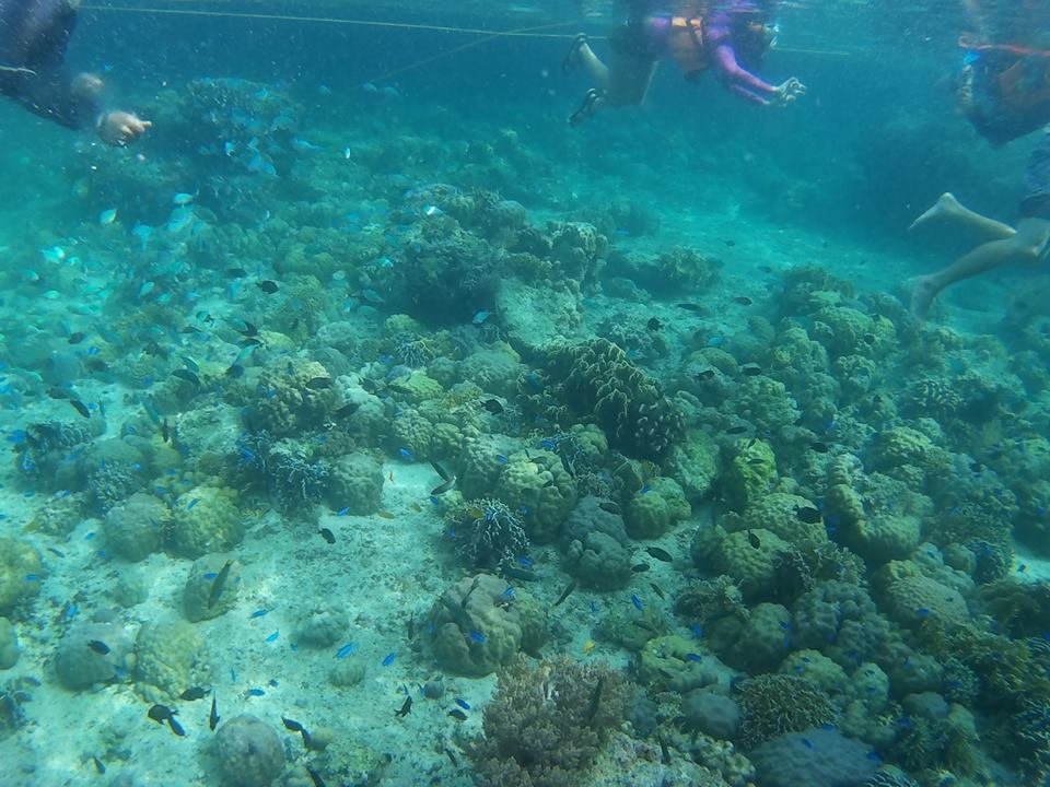 Underwater