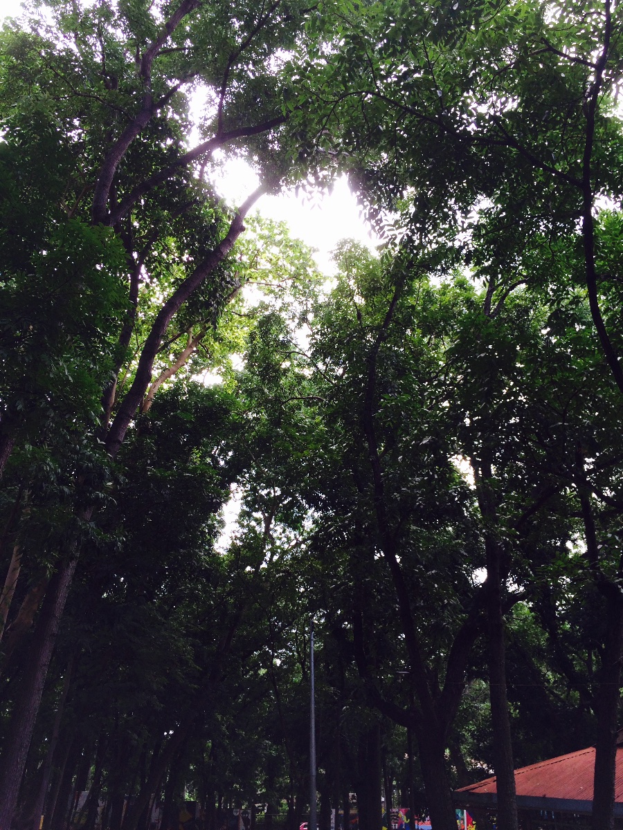 green environment