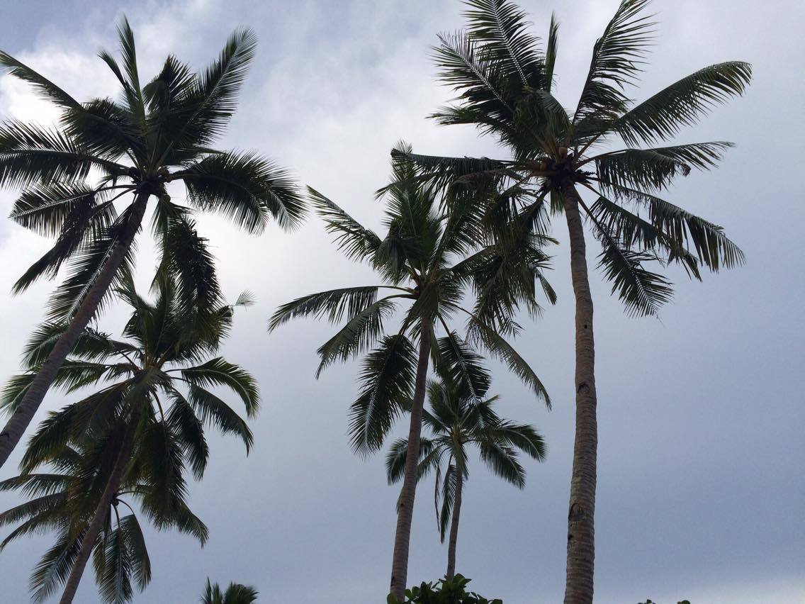 no filter #trees #nature