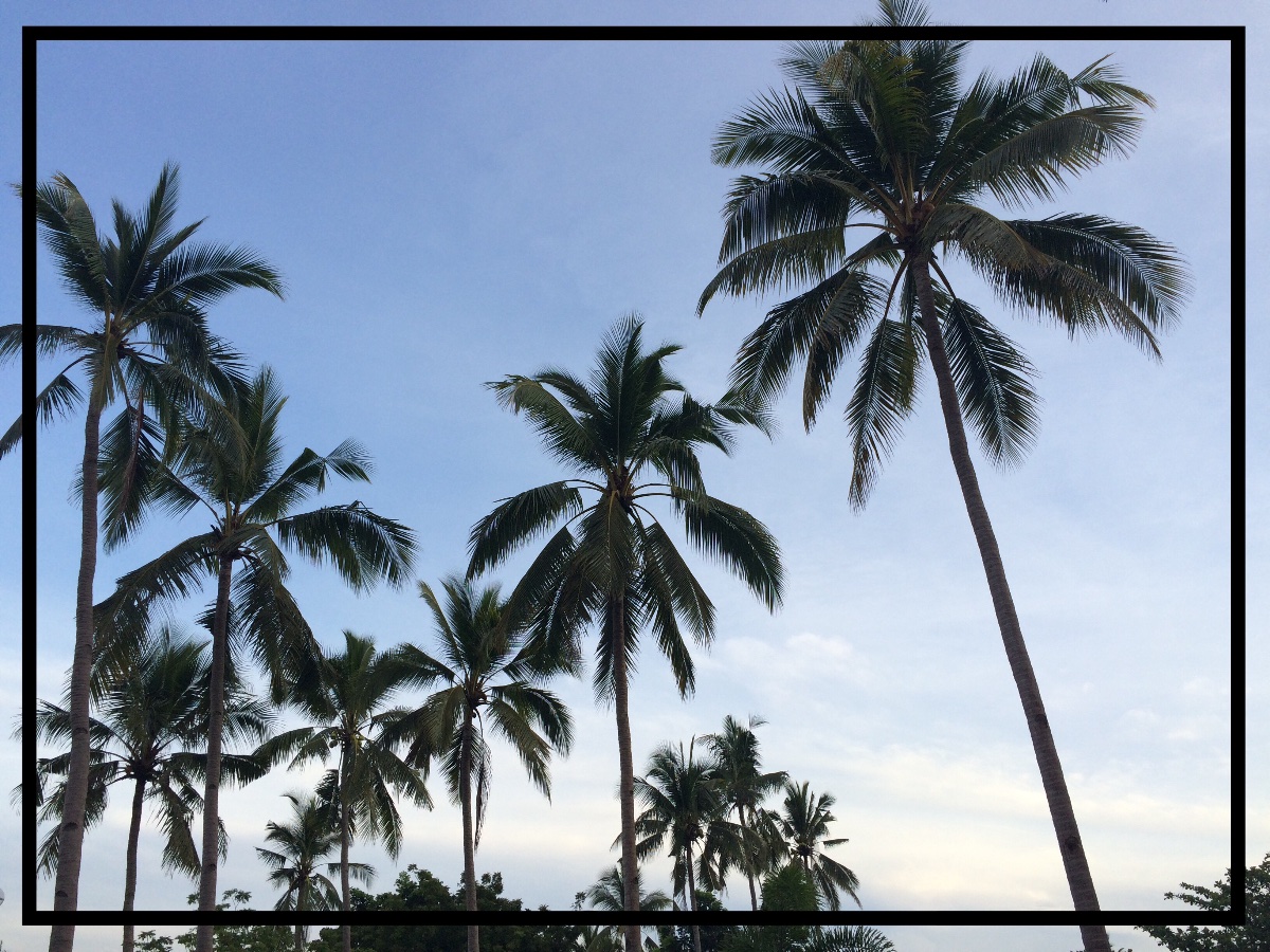 Photo uploaded by meryc178, 138