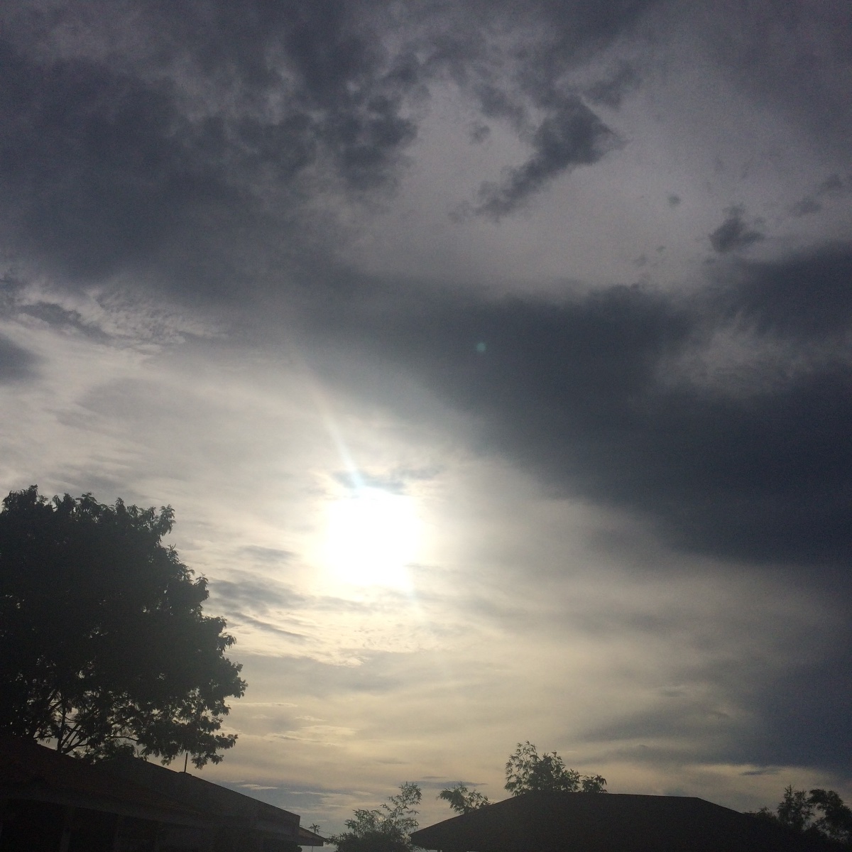 Photo uploaded by meryc178, 169