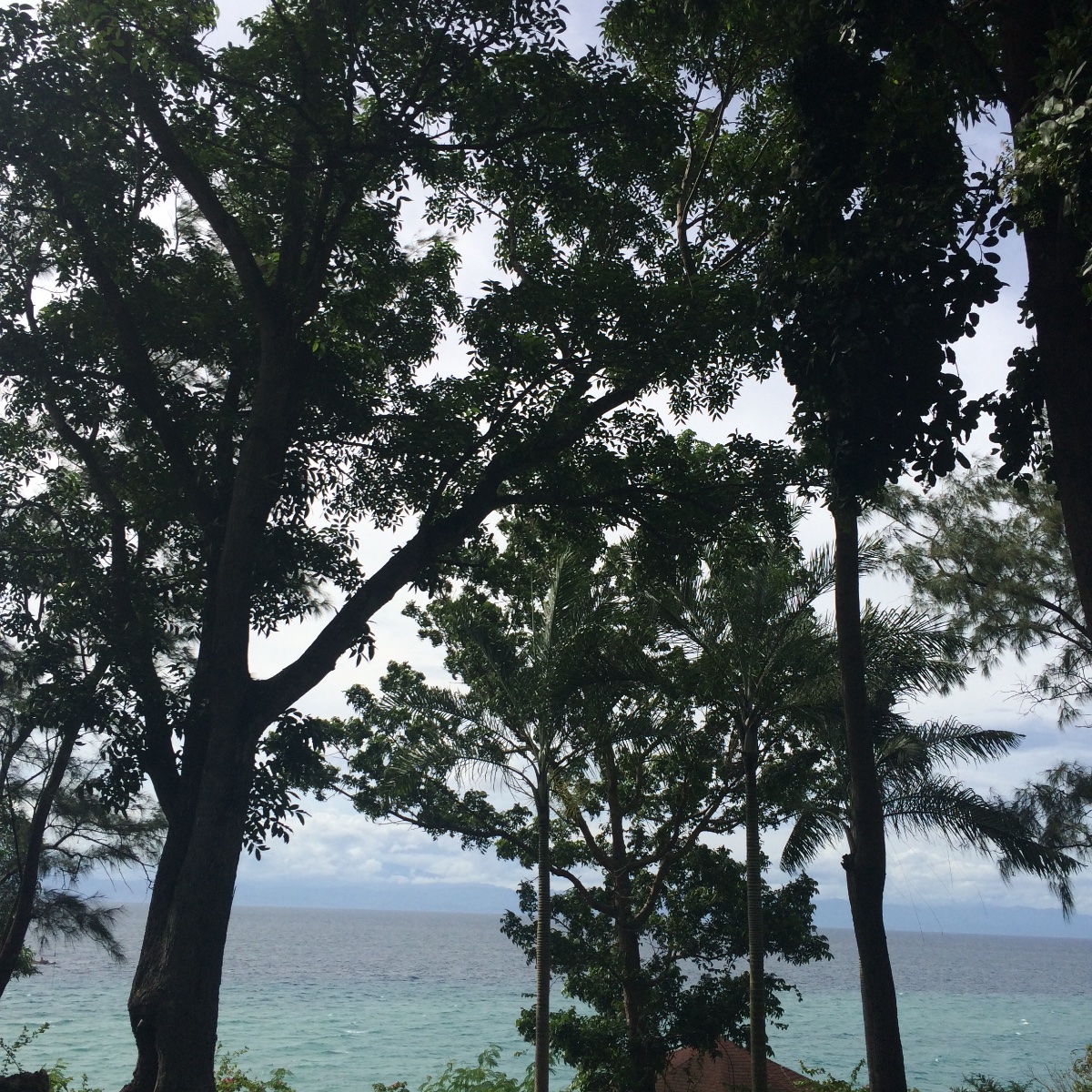 Photo uploaded by meryc178, 244