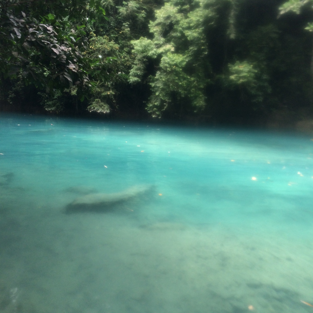 Photo uploaded by meryc178, 303