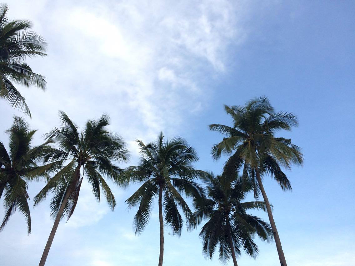 Photo uploaded by meryc178, 421
