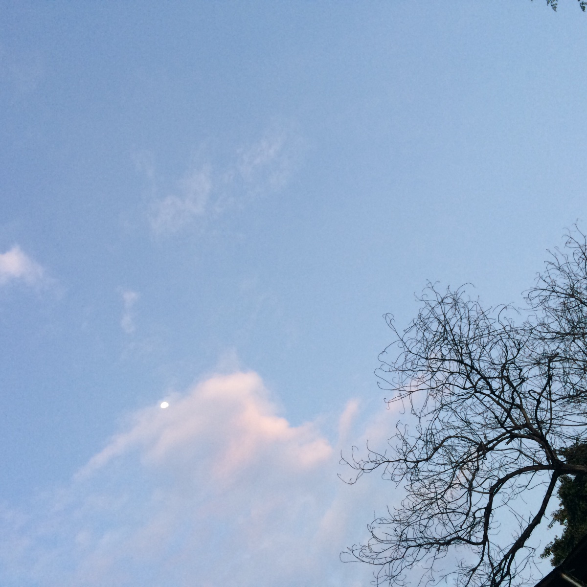 sky