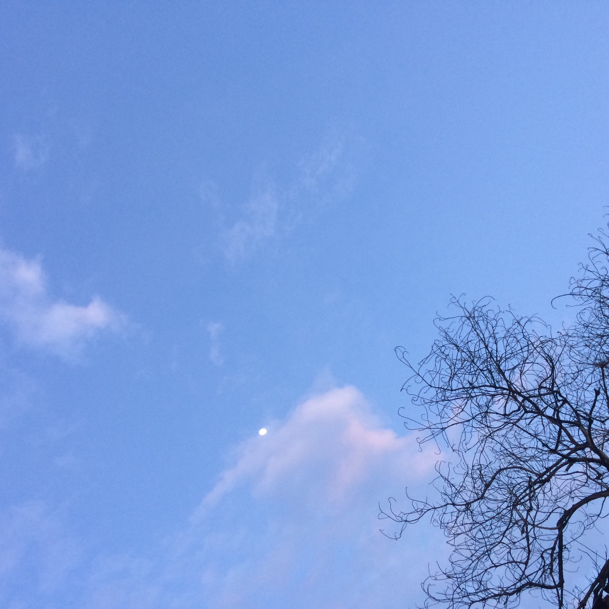 sky #nofilter
