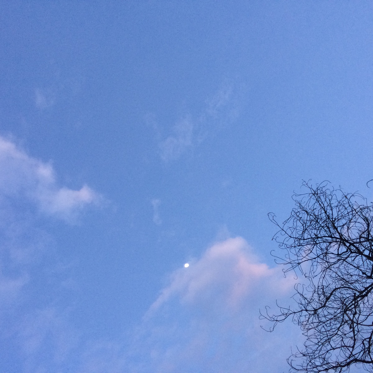 sky #nofilter