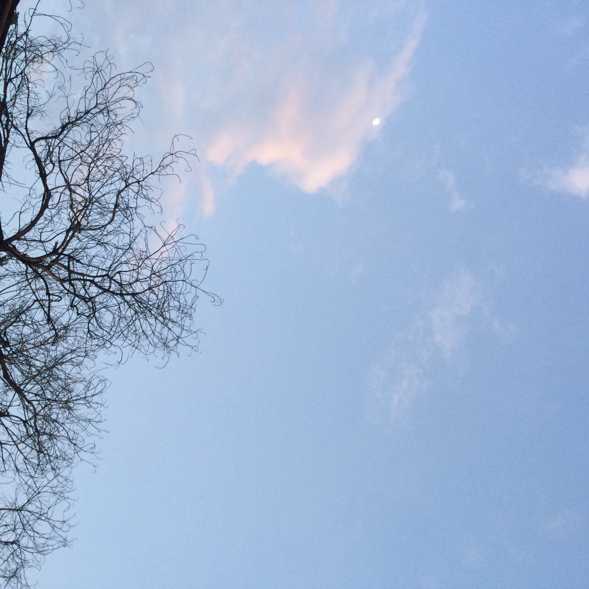 sky