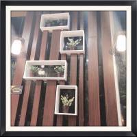 wall