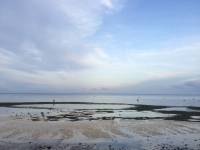 low tide #beach #beaching #beachlife #islandlife #nofilter #sunrise