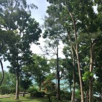 nature gives us refreshment naturelover