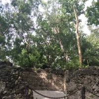 #historic Baluarte