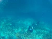 Ocean deep