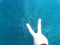 Peace sign