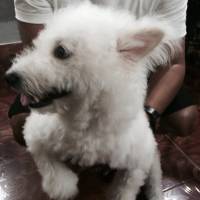 medyo blurry