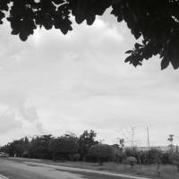 DPWH 7 SRP