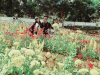 Sirao Flower Farm