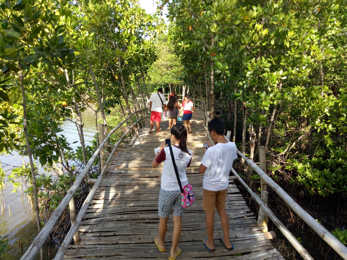 Bridge