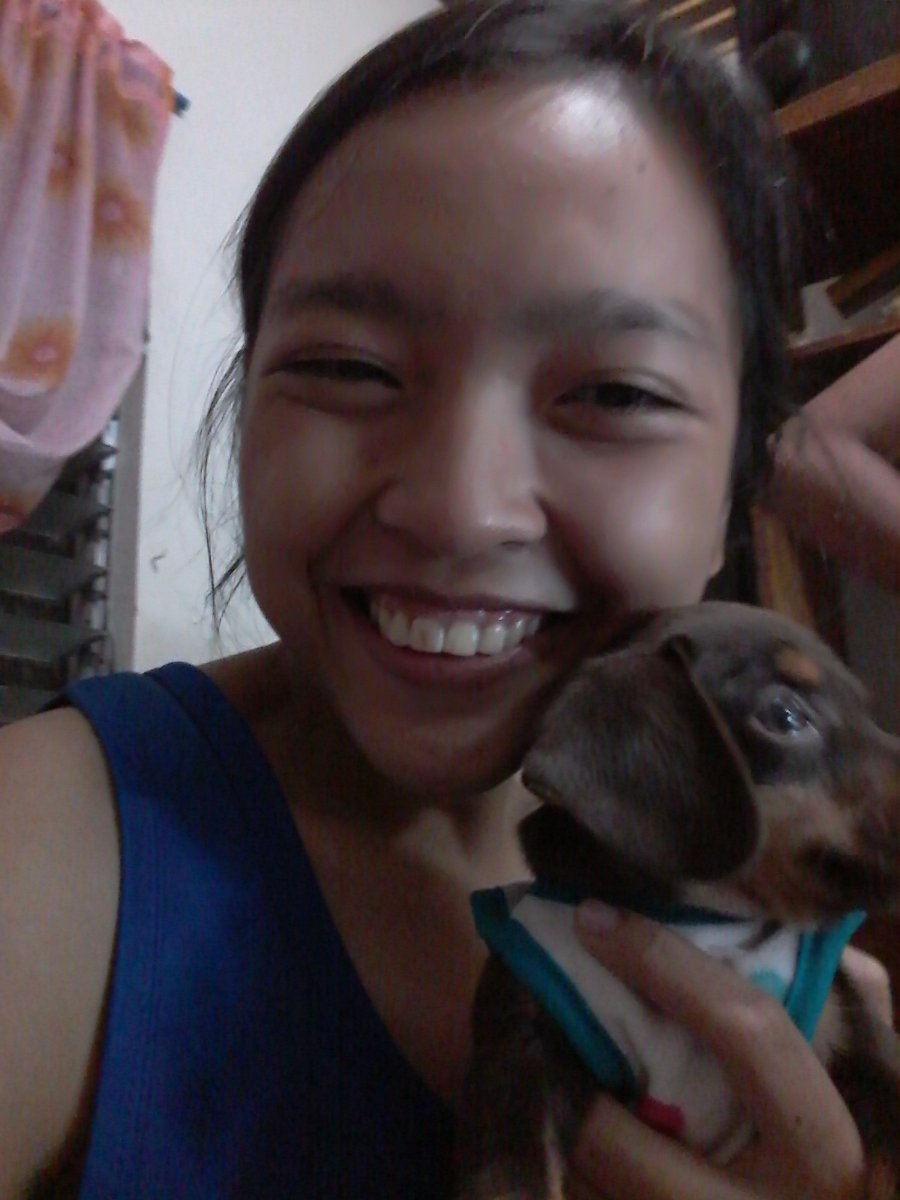 Dog, cute