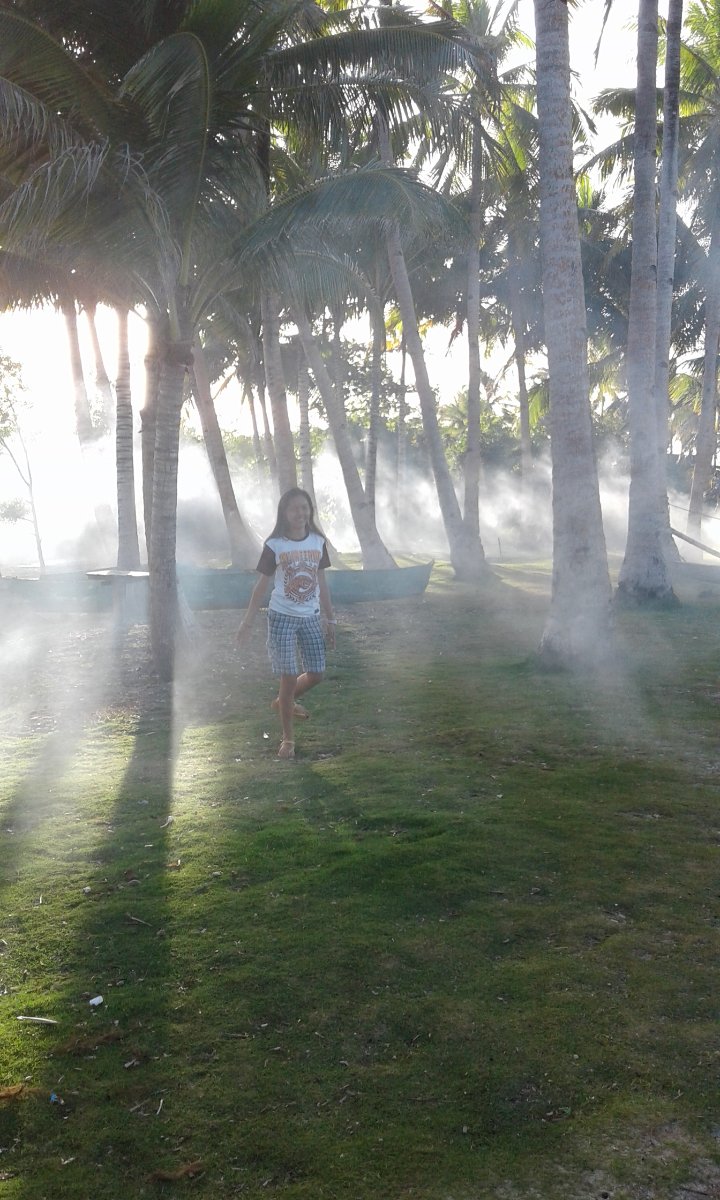 Smoke, bukid