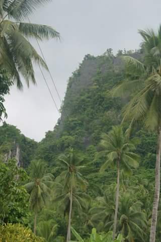 mountain