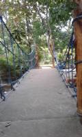 Bamboo bridge, fun