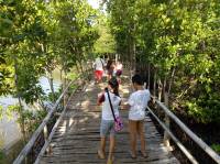 Bamboo bridge, fun
