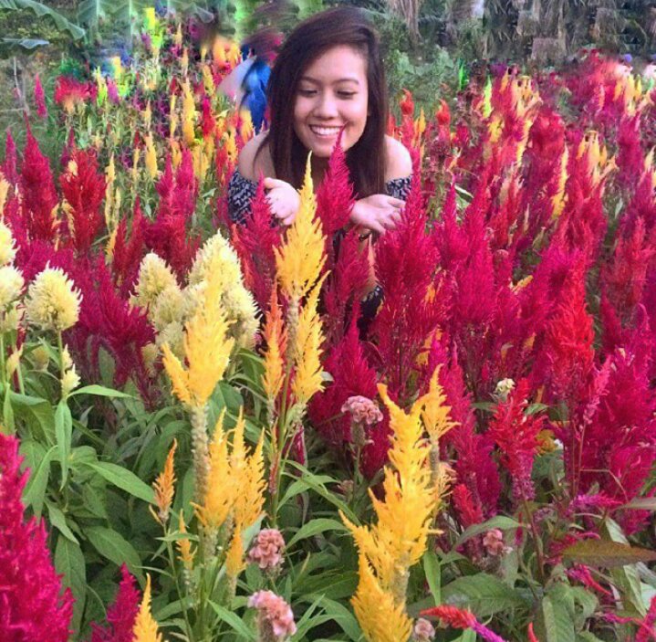 Photo uploaded by milde106, 233
