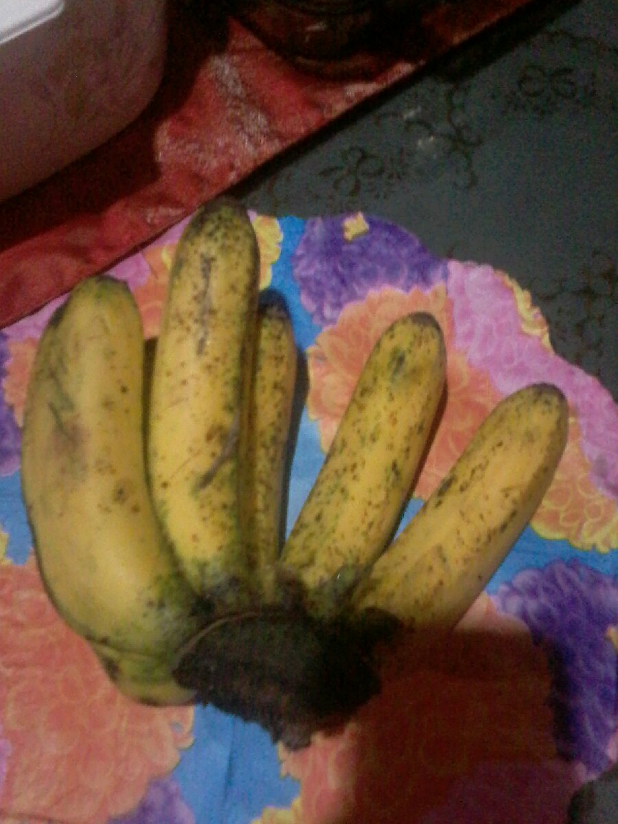 banana