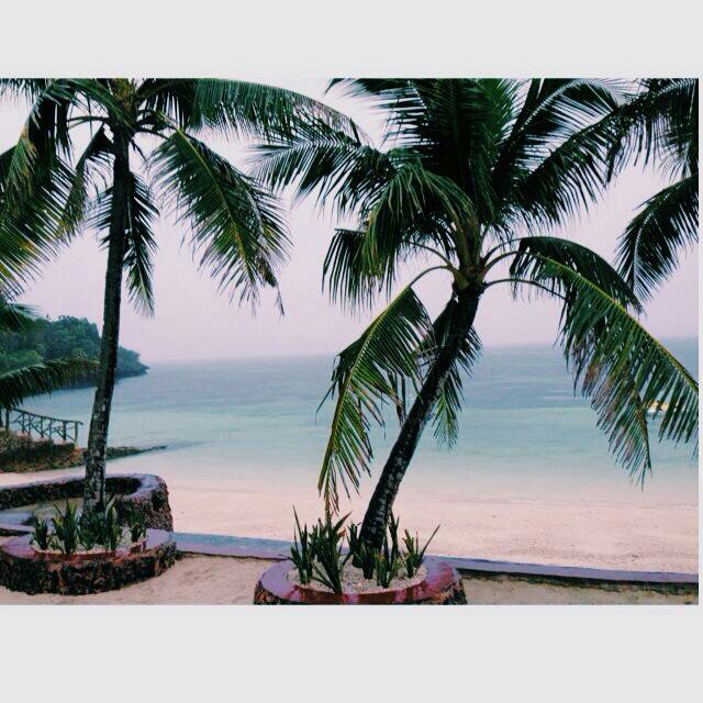 paradise