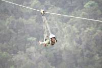zipline