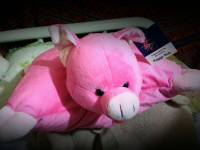 piggy