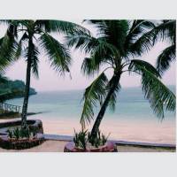 paradise