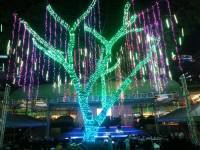 lights