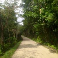 peaceful road