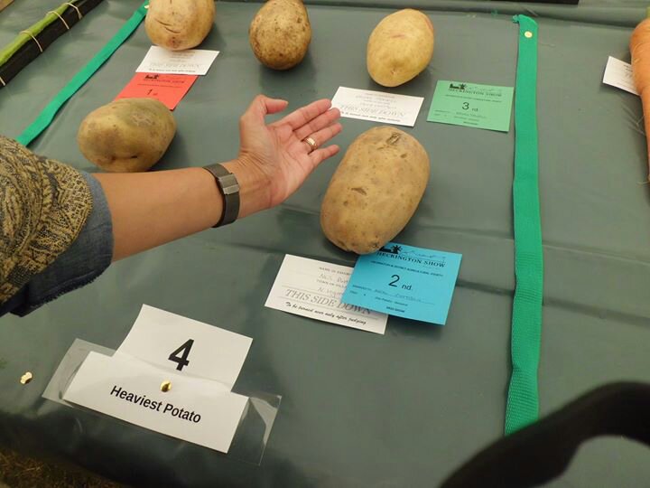 2nd place for the Heaviest Potato category, Bigger than my sisters hand, Heckington Show