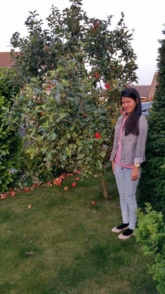 I dont like apple therefore im not Eve, Apple tree, England, UK