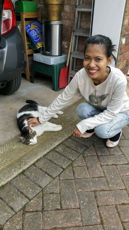 Very cute cat, Felix
