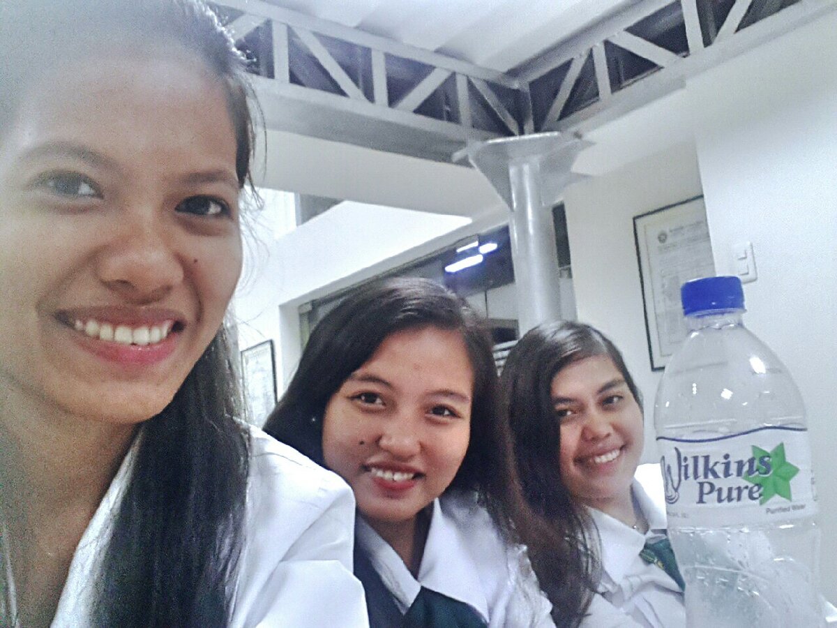 Wilkins Girls, Groupie at Uni