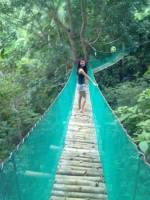 Hanging Bridge, Coal Mountain Resort, Argao, Cebu, Philippines