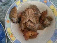 Dried Fish Dangit Buwad