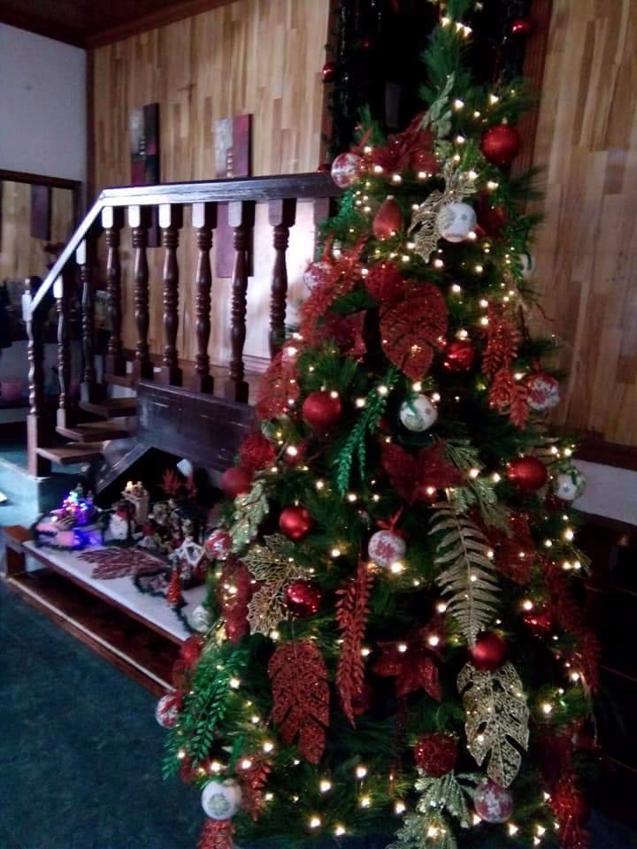 Christmas tree at house