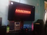 #Bestfriend#Anaconda