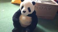 my favorite toy pandy