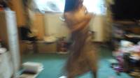 my sister doing a strange dance