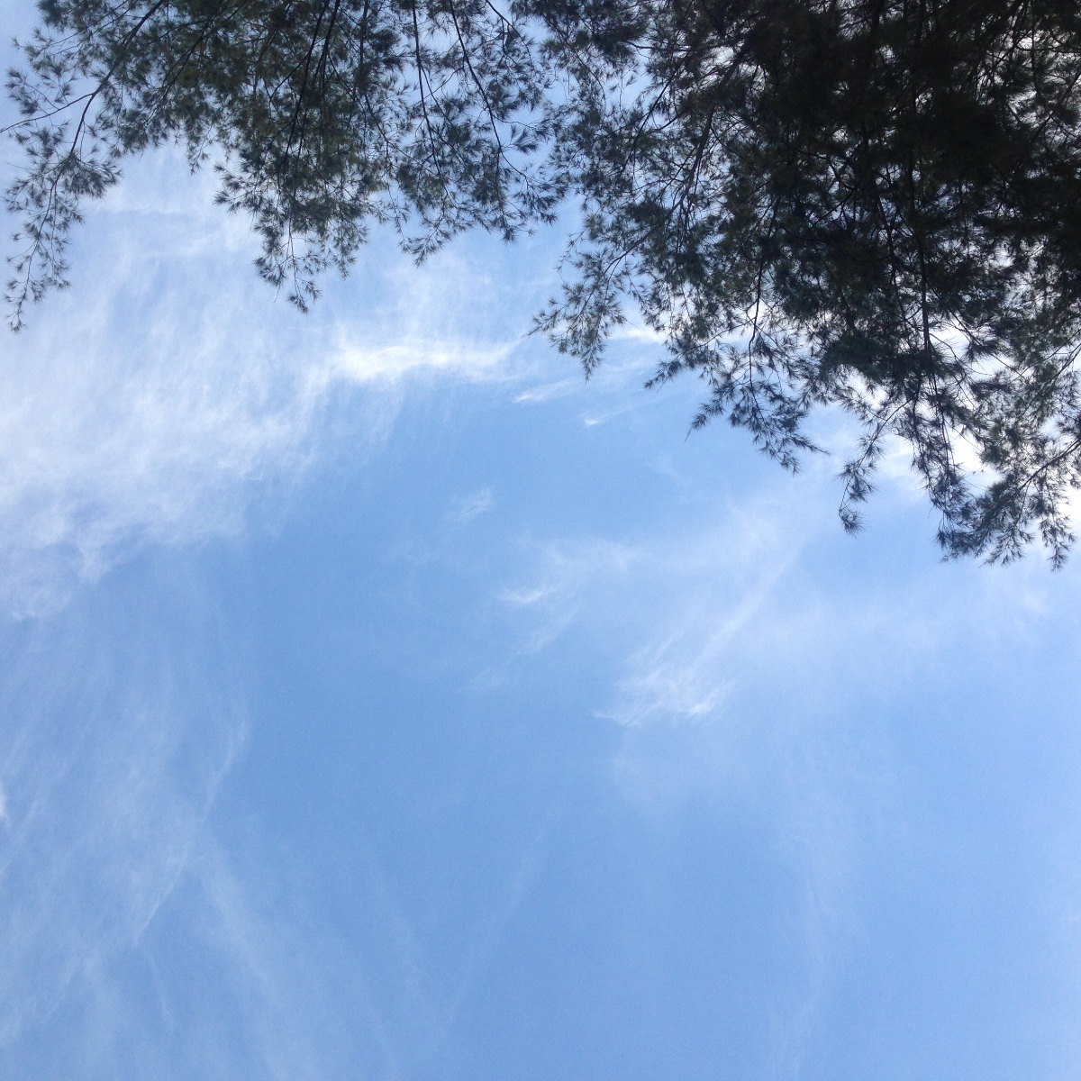 Blue sky, relaxation, peace