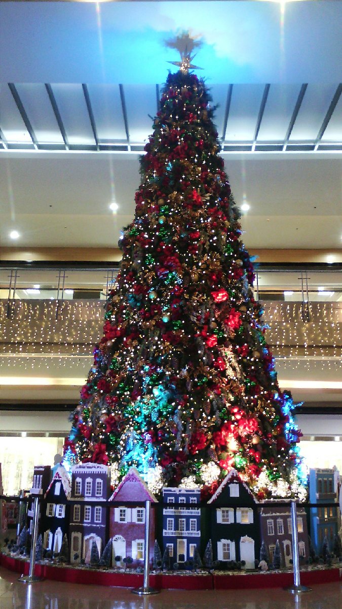 Christmas Tree 